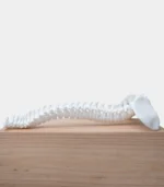 Phrozen Ceramic White 3D Printing Resin - Image 5