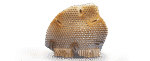 CREATBOT PEEK-300 - Image 15